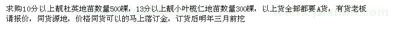 求購杜英、小葉欖仁地苗