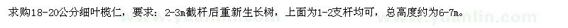 求購18-20公分細葉欖仁