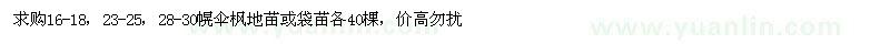 求購16-18、23-25、28-30幌傘楓地苗或袋苗
