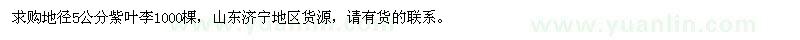 求購地徑5公分紫葉李