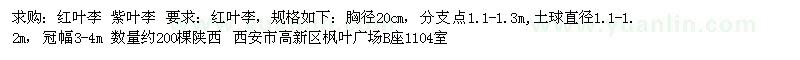 求購(gòu)紅葉李、紫葉李