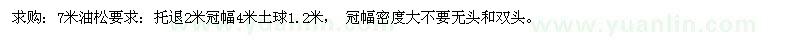 求購7米油松