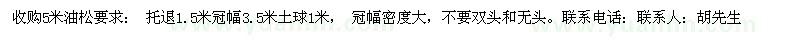 求購5米油松