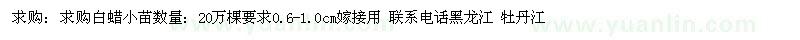 求購(gòu)白蠟小苗