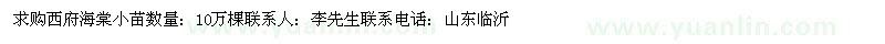求購(gòu)西府海棠小苗