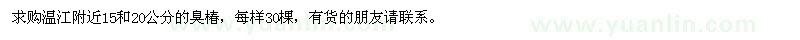 求購15、20公分臭椿