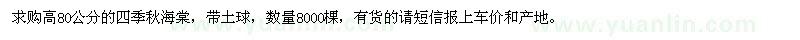 求購高80公分四季秋海棠