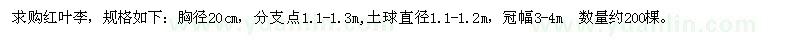求購(gòu)紅葉李