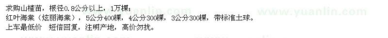 求購山楂苗
