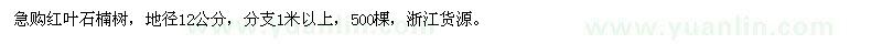 求購紅葉石楠樹