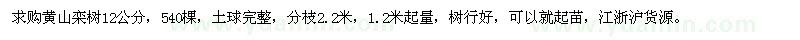求購12公分黃山欒樹