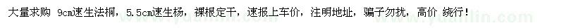 求購法桐、速生楊