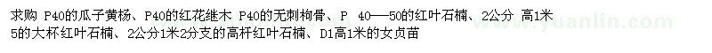 求購(gòu)瓜子黃楊、紅花繼木、無(wú)刺枸骨等苗木