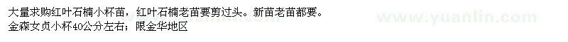 求購紅葉石楠、金森女貞