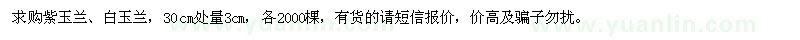 求購地徑3公分紫白玉蘭