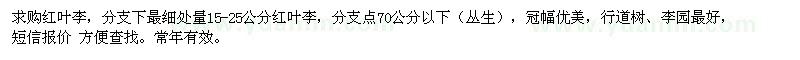 求購15-25公分紅葉李
