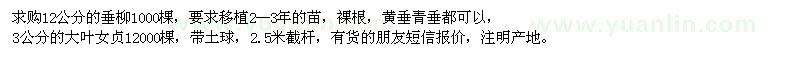 求購垂柳、大葉女貞