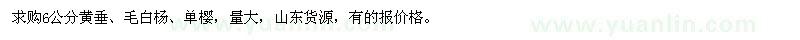 求購6公分黃垂、毛白楊、單櫻