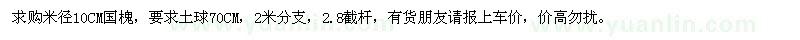 求購米徑10公分國槐