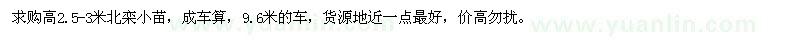 求購高2.5-3米北欒小苗