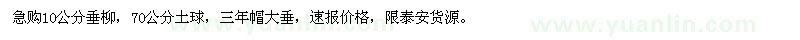 求購10公分垂柳