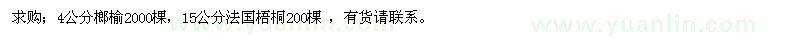 求購榔榆、法國梧桐