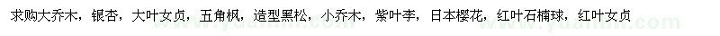 求購(gòu)銀杏、大葉女貞、五角楓