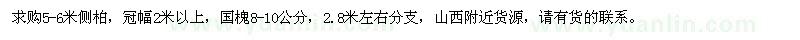 求購5-6米側柏、8-10公分國槐