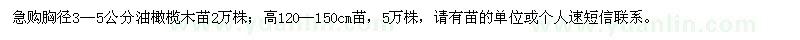 求購(gòu)胸徑3-5公分油橄欖木苗