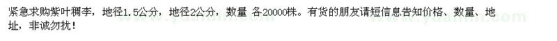 求購紫葉稠李