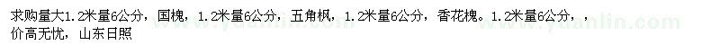 求購國槐、五角楓、香花槐等