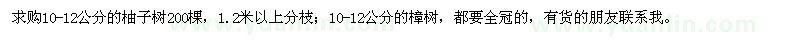 求購10-12公分柚子樹、10-12公分樟樹
