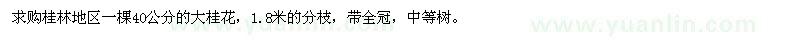 求購40公分大桂花