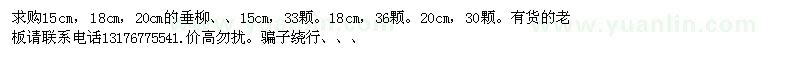 求購15-20垂柳