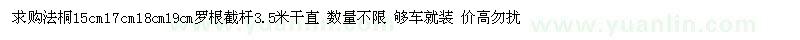 求購法桐