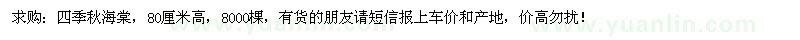 求購四季秋海棠