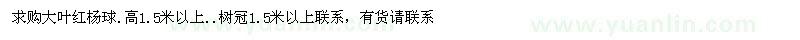 求購大葉紅楊球