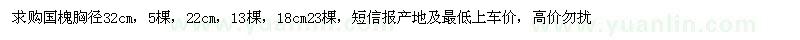 求購國槐