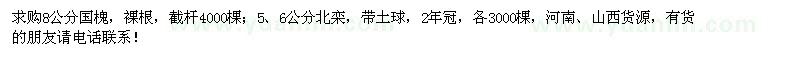 求購8公分國槐、5、6公分北欒