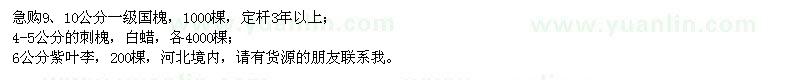 求購國槐、刺槐、白蠟