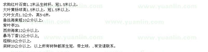 求購紅葉石楠、大葉黃楊球、大葉女貞