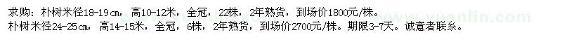 求購米徑18-19、24-25公分樸樹