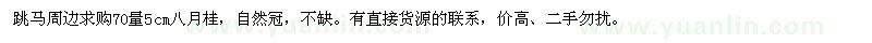 求購70量5公分八月桂