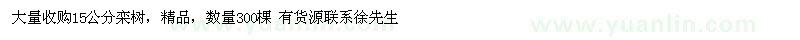 求購15公分欒樹精品