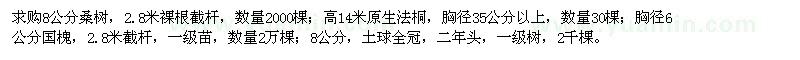 求購桑樹、原生法桐、國槐