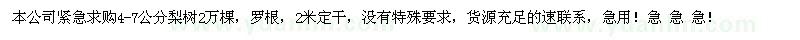 求購(gòu)4-7公分梨樹
