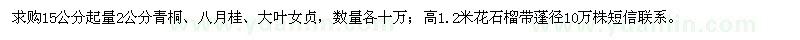 求購青桐、八月桂、大葉女貞、花石榴