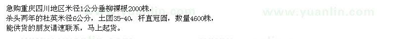 求購垂柳、杜英