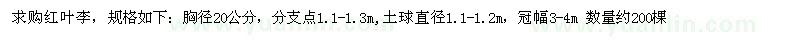 求購胸徑20公分紅葉李