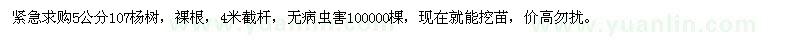 求購5公分107楊樹